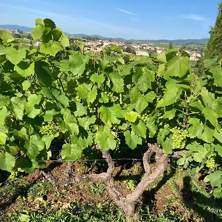Prázdninový dům De La Vieille Vigne *