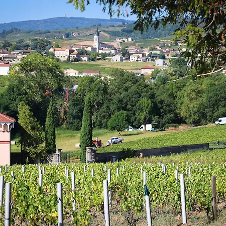 De La Vieille Vigne Fleurie